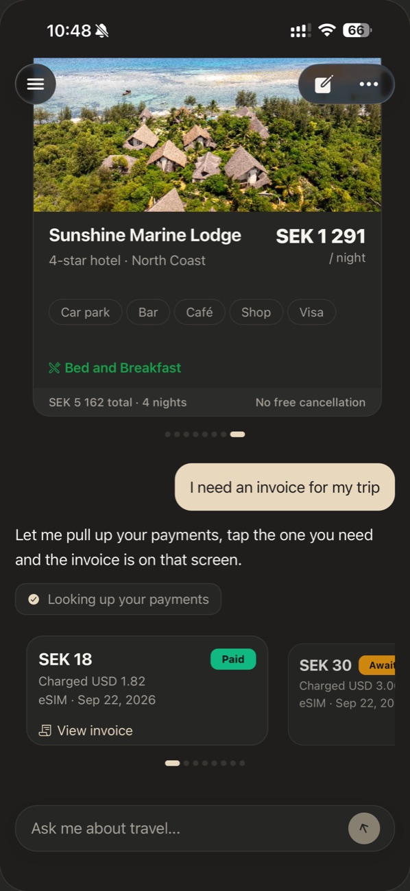 A chat asking for an invoice, with eSIM payments listed as cards and a View invoice link
